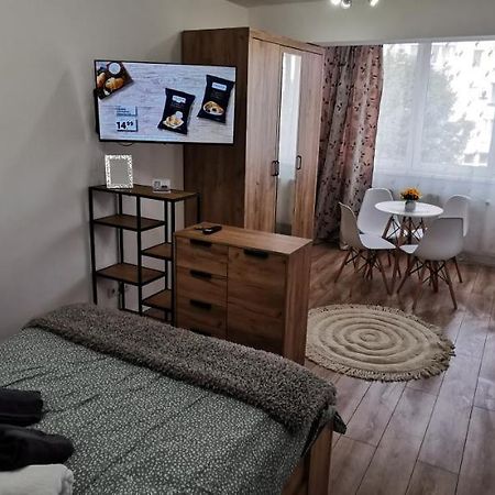 Ana Studio Apartment Targu-Mures Bagian luar foto